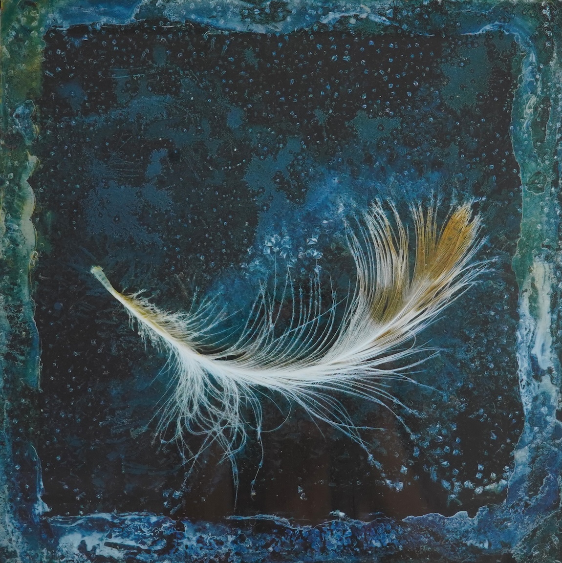 Paul Kenny (b.1951), three abstract photographic prints to include: Study of a feather and one limited edition 1/30, largest 38 x 36cm